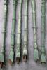 foto 3 Kavel balusters